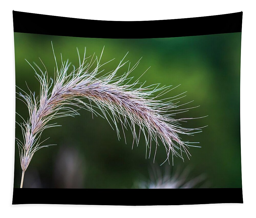 Nature Tapestry featuring the photograph Yield by Terri Hart-Ellis