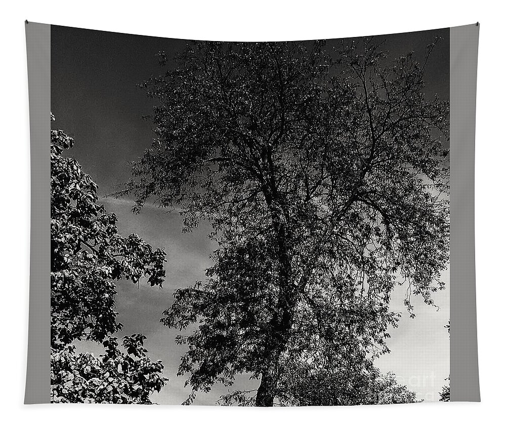 Black And White Tapestry featuring the photograph You Shall Love Your Neighbor As Yourself by Frank J Casella