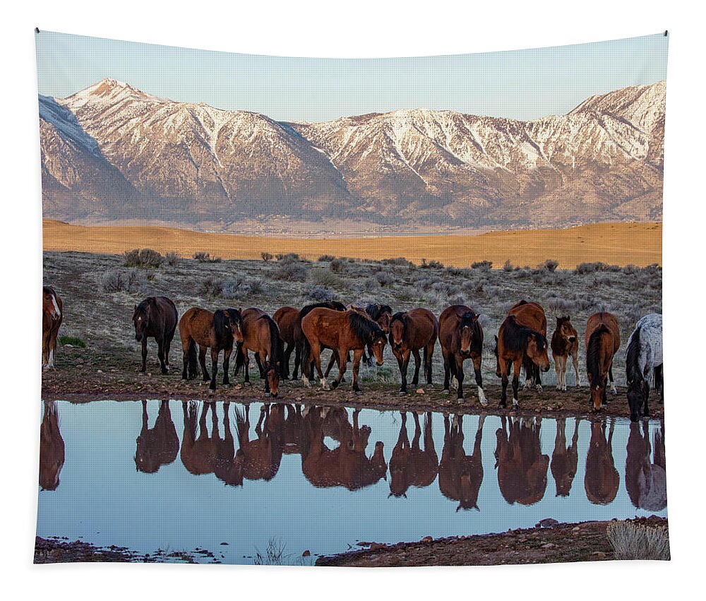 Sized For 60x48 Tapestry featuring the photograph _z3a9746 by John T Humphrey