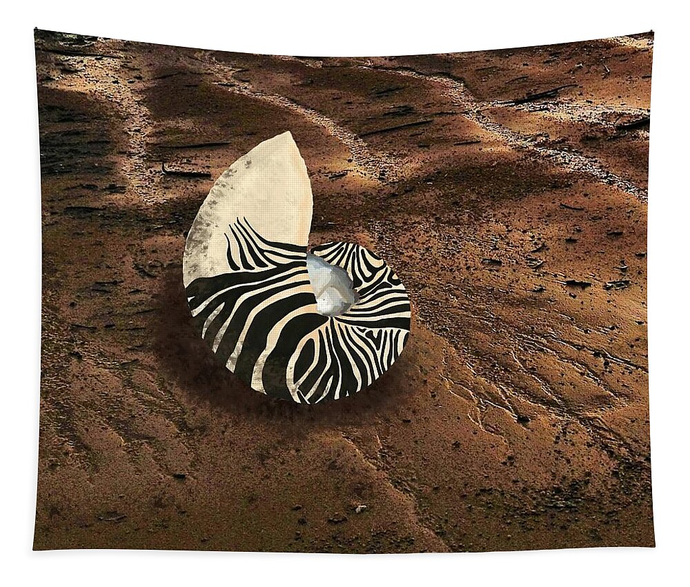Nautilus Shell Tapestry featuring the mixed media Zebra Nautilus Shell on the Sand by Joan Stratton