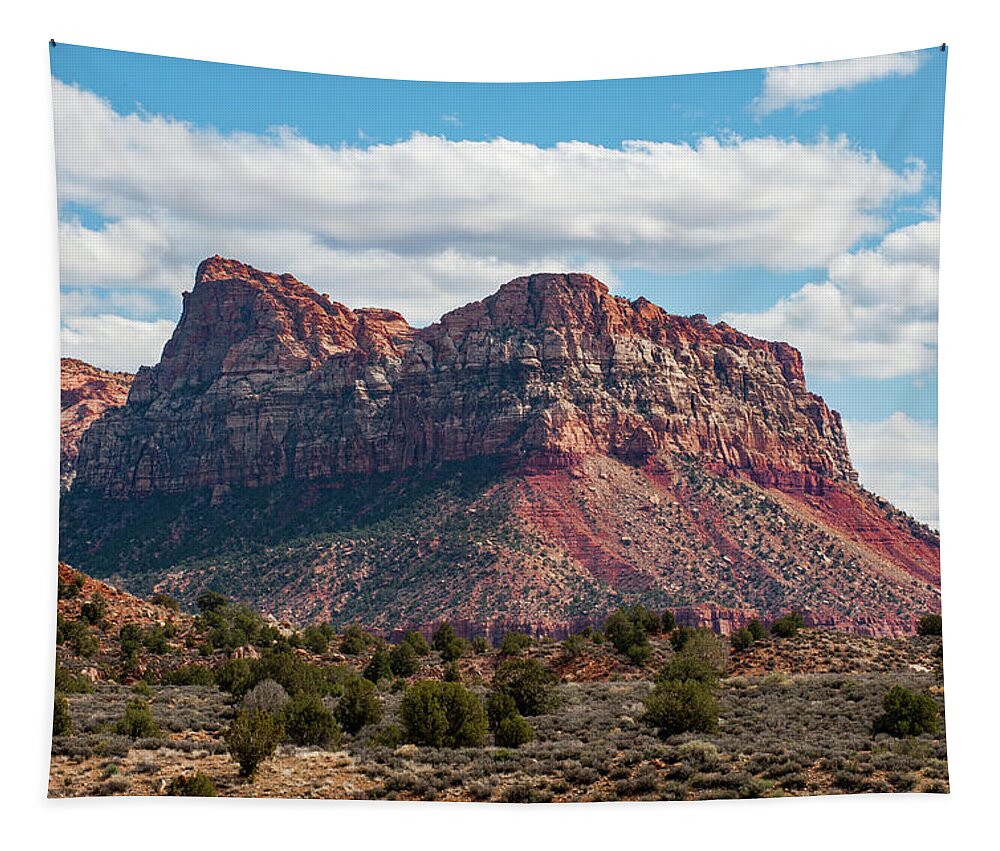 Zion Tapestry featuring the photograph Zion by Mark Duehmig