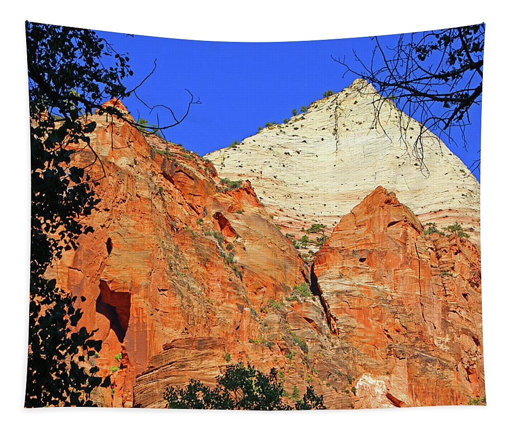 Zion Red And White Rock Mountains Trees 6315 Tapestry featuring the photograph Zion red and white rock mountains trees 6315 by David Frederick