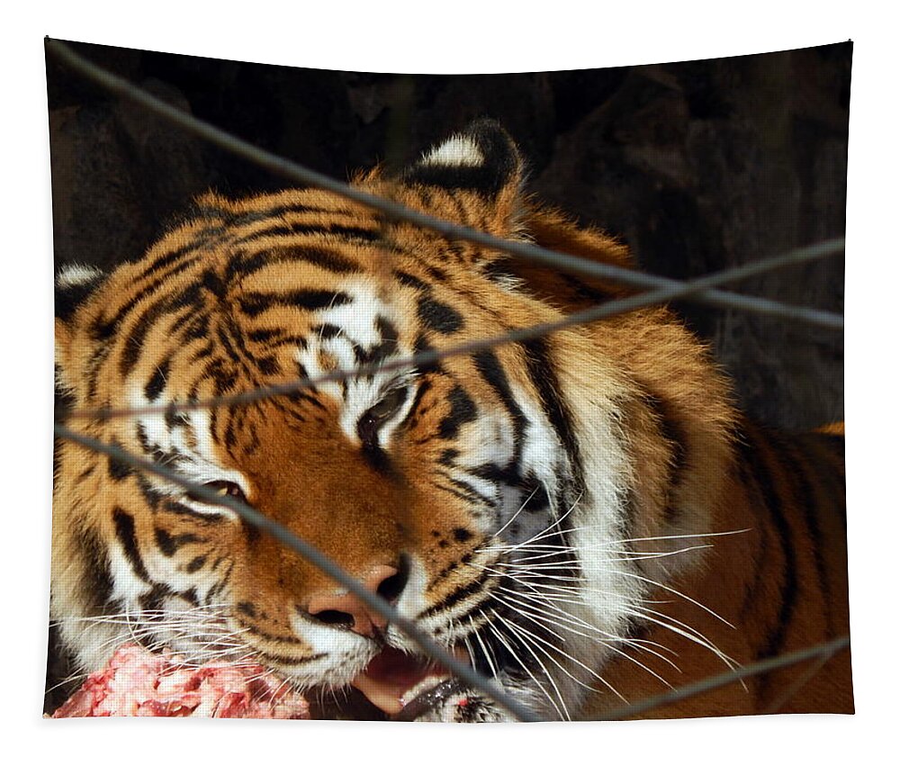 Cage Tapestry featuring the photograph Zoo animals in cages and aviaries by Oleg Prokopenko