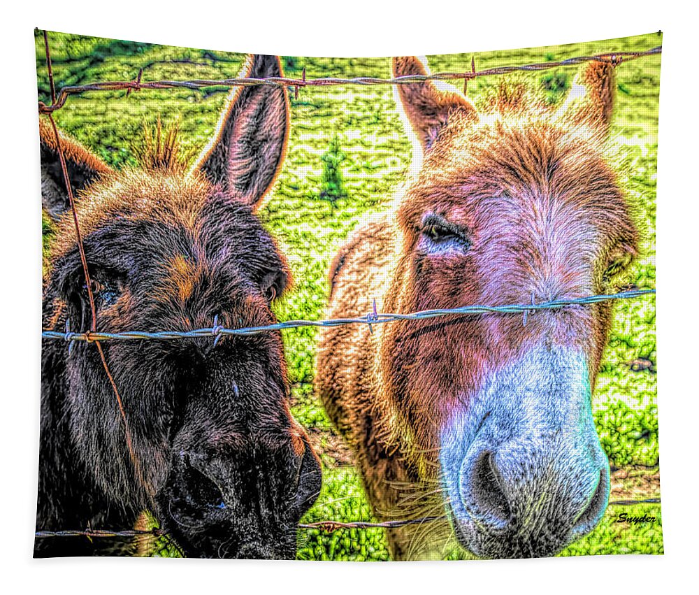 Animals Tapestry featuring the photograph A Face Only A Mother Could Love #1 by Barbara Snyder