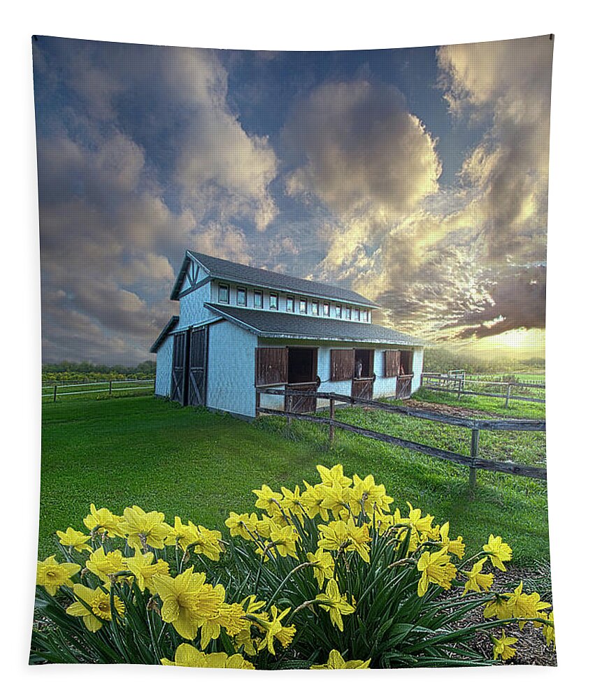 Life Tapestry featuring the photograph A Fresh Start #1 by Phil Koch