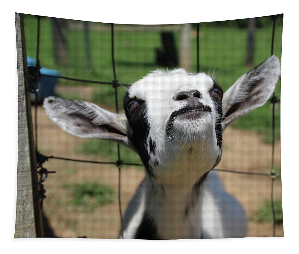 Goat Tapestry featuring the photograph A Goat's Smile by Demetrai Johnson