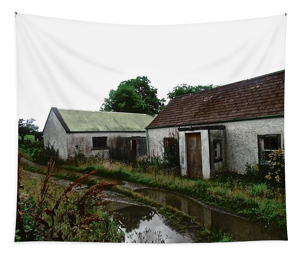 Cottage Tapestry featuring the photograph Abandoned cottage #1 by Stephanie Moore