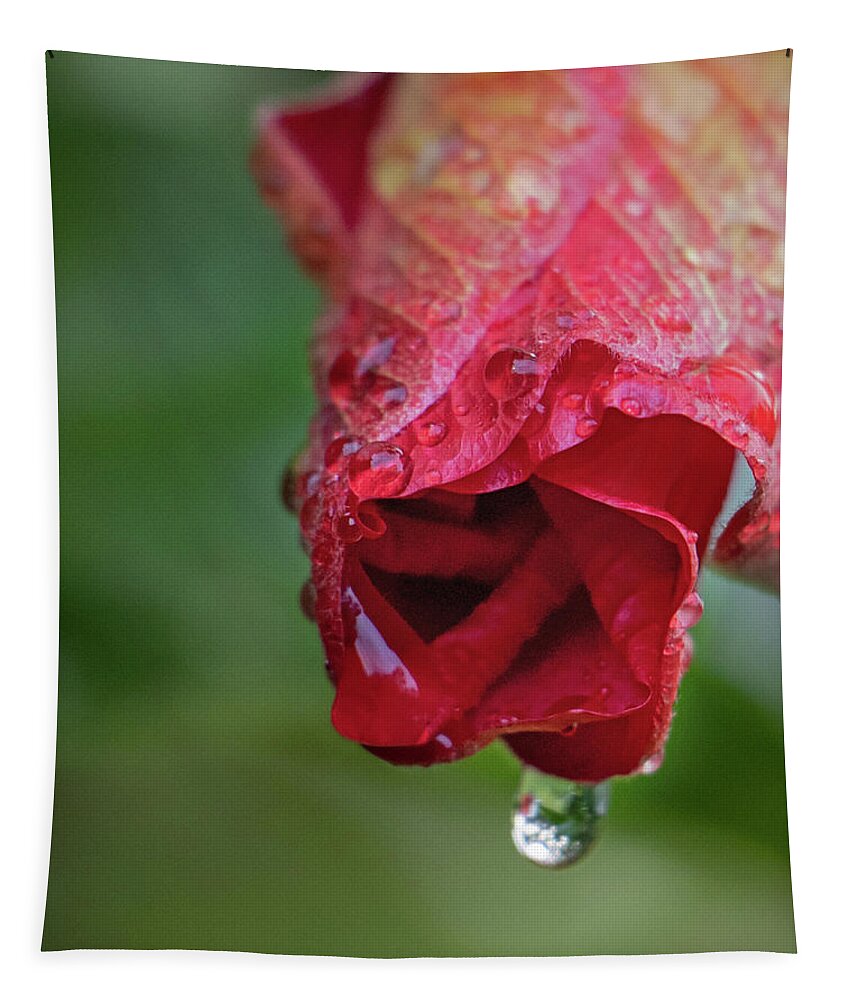 Hibiscus Tapestry featuring the photograph After the Rain by M Kathleen Warren