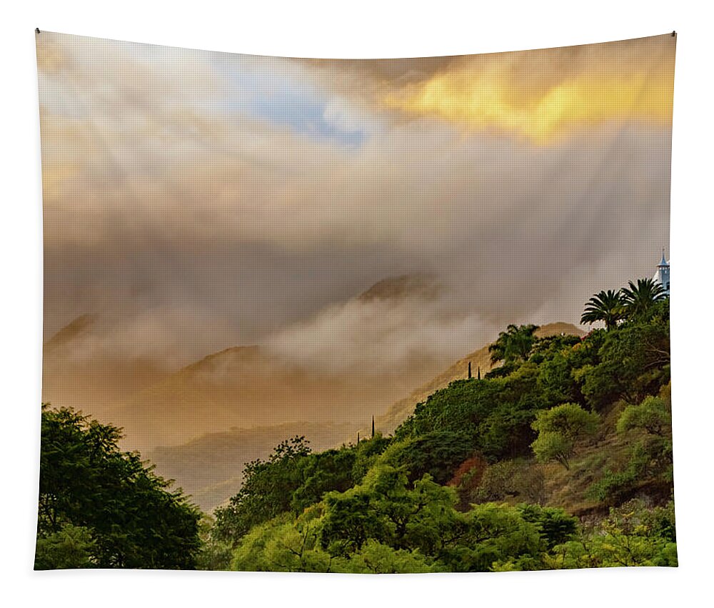 _mexico-ajijic Tapestry featuring the photograph After the Storm #2 by Tommy Farnsworth