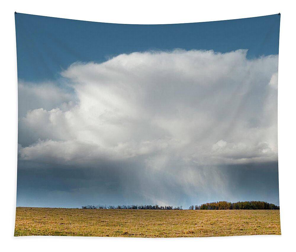 Storm Tapestry featuring the photograph Alberta prairie storm by Karen Rispin