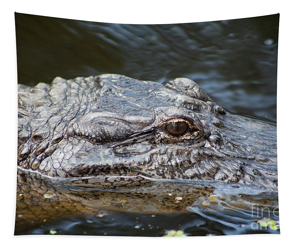 Alligator Tapestry featuring the photograph Alligator Eye #1 by Kimberly Blom-Roemer