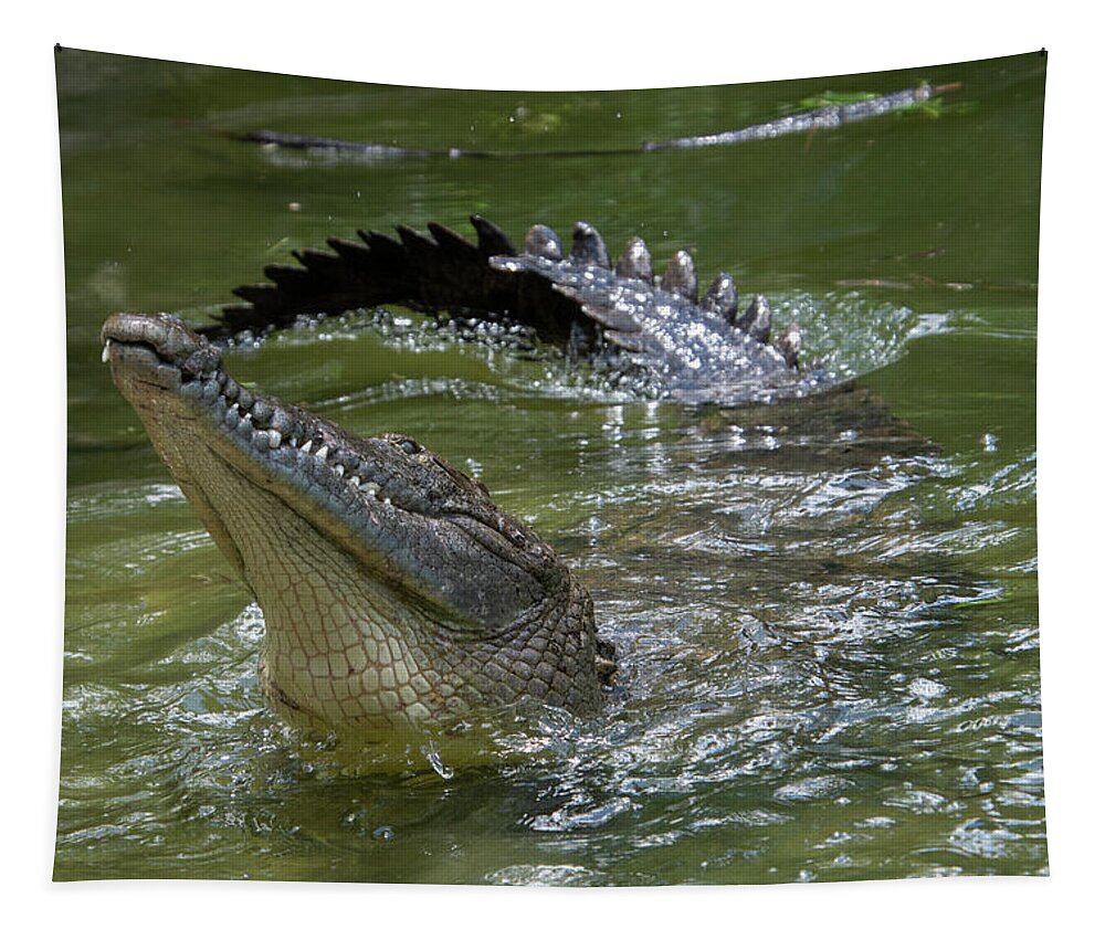 Crocodile Tapestry featuring the photograph American Crocodile #2 by Carolyn Hutchins