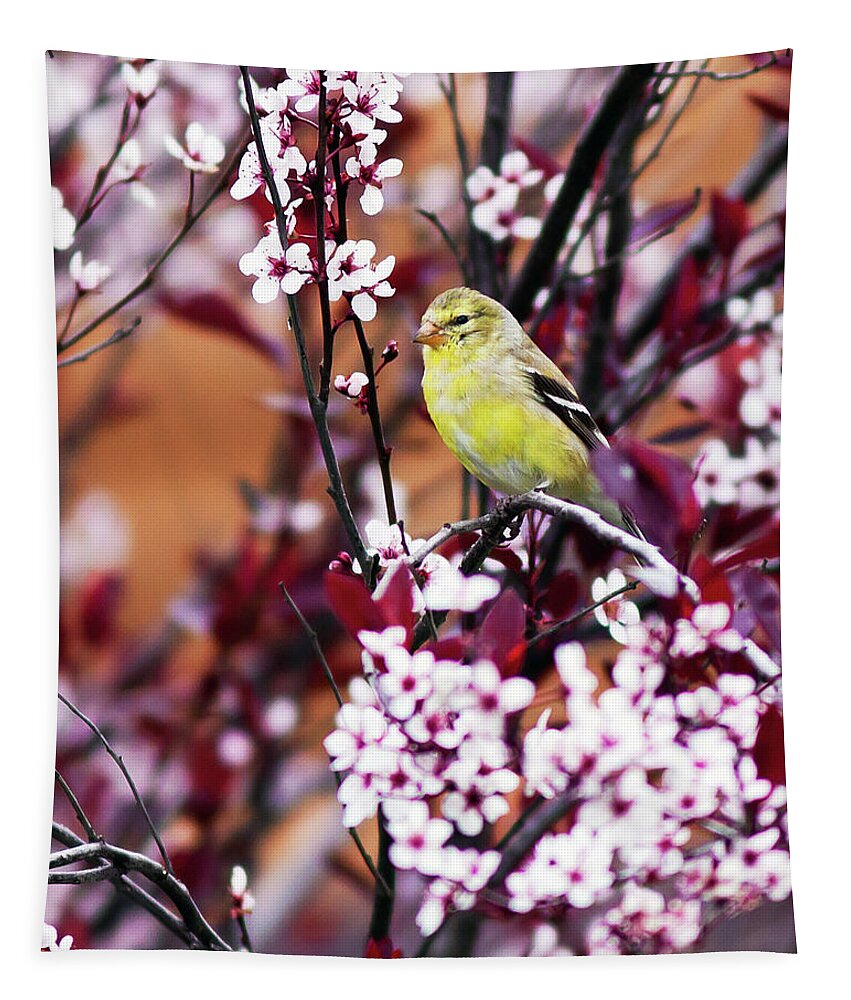 American Goldfinch Tapestry featuring the photograph American Goldfinch #1 by John Rowe