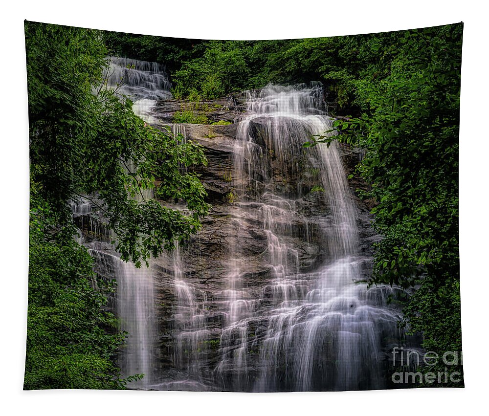 Amicalola Falls Tapestry featuring the photograph Amicalola Falls - Georgia #1 by Nick Zelinsky Jr