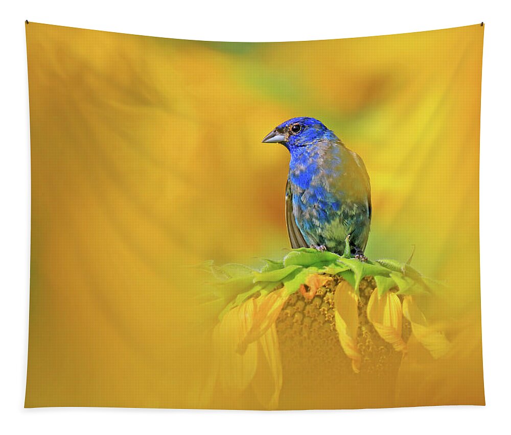 Indigo Bunting Tapestry featuring the photograph An Indigo Bunting Perched on a Sunflower #1 by Shixing Wen