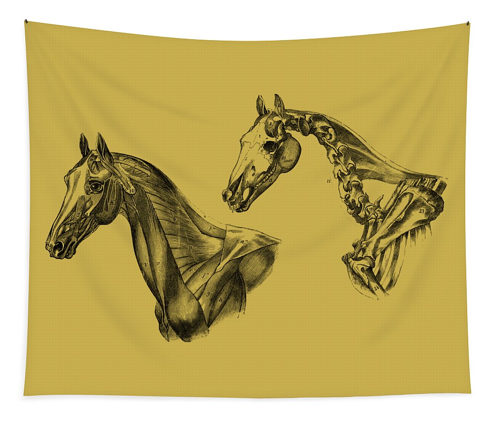 Horse Tapestry featuring the digital art Anatomical Horses #1 by Madame Memento