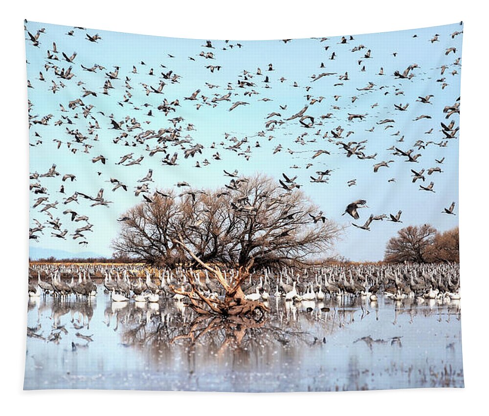 Wildlife Tapestry featuring the photograph Arrival by Robert Harris