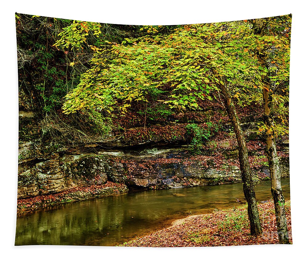 Strange Creek Tapestry featuring the photograph Autumn on Strange Creek #1 by Thomas R Fletcher