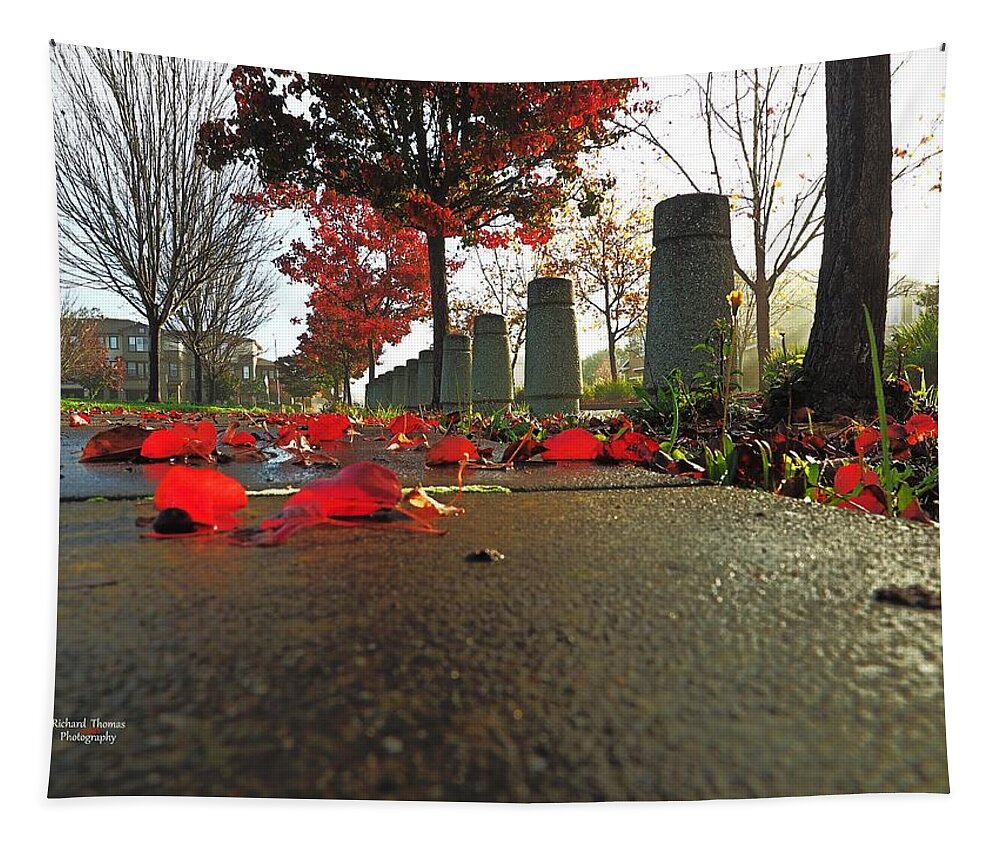 Outdoors Tapestry featuring the photograph Autumn Sidewalk Art #1 by Richard Thomas