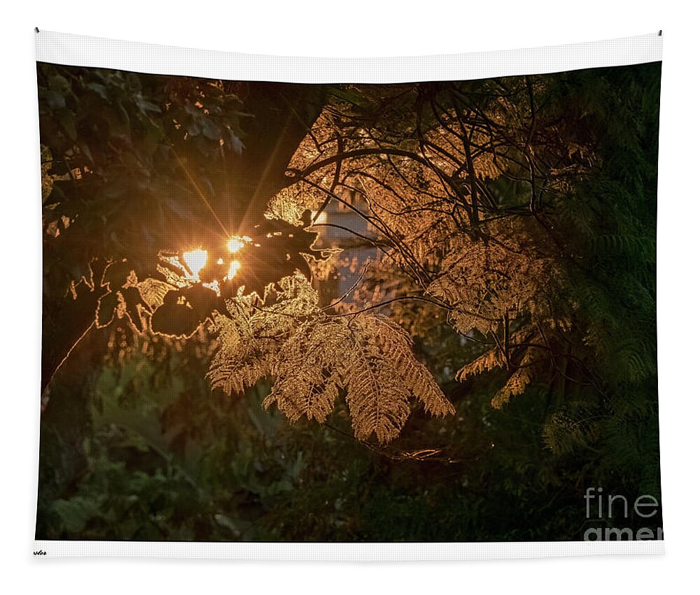 Photography Tapestry featuring the photograph Autumn sunset #1 by Arik Baltinester