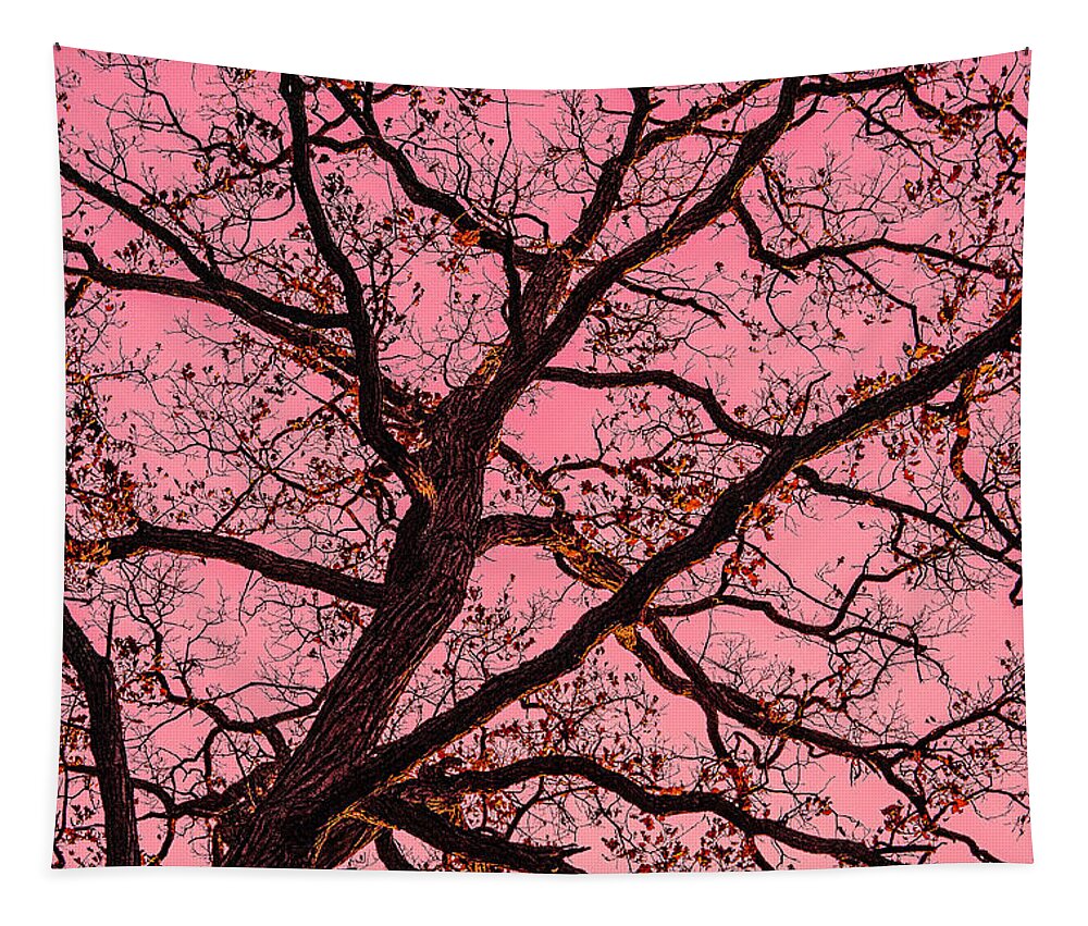 Bare Tree Zion Illinois Red Yellow Branches Tapestry featuring the photograph Bare Tree in Zion, Illinois #1 by David Morehead