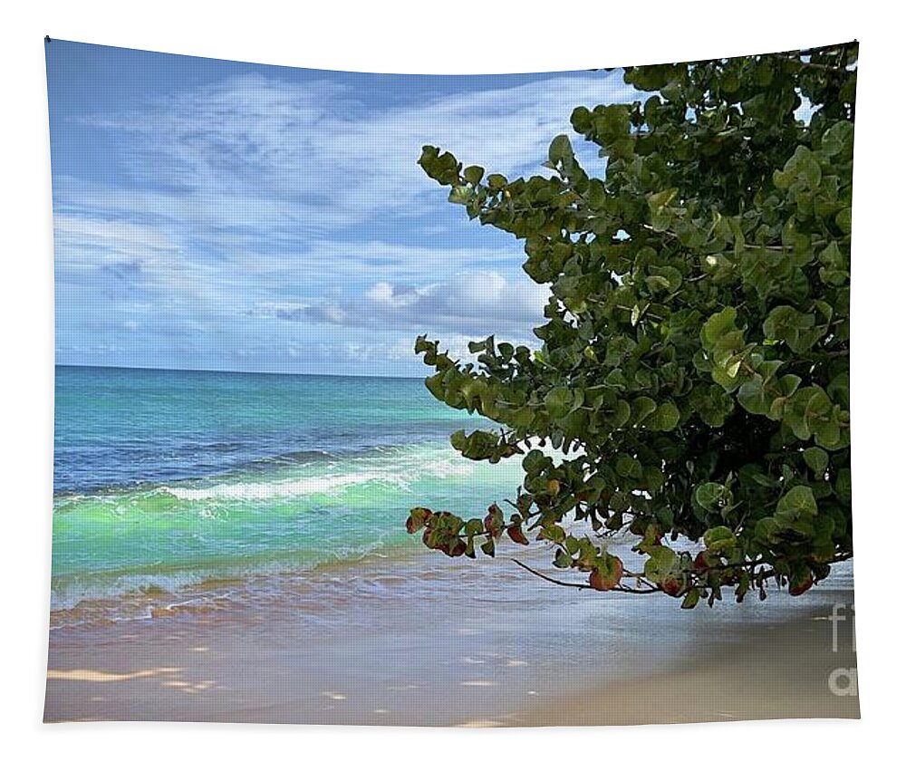 Beach Tapestry featuring the photograph Beach #1 by Laura Forde