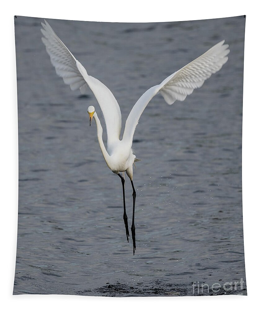Great Egret Tapestry featuring the photograph Big White #1 by Tony Beck