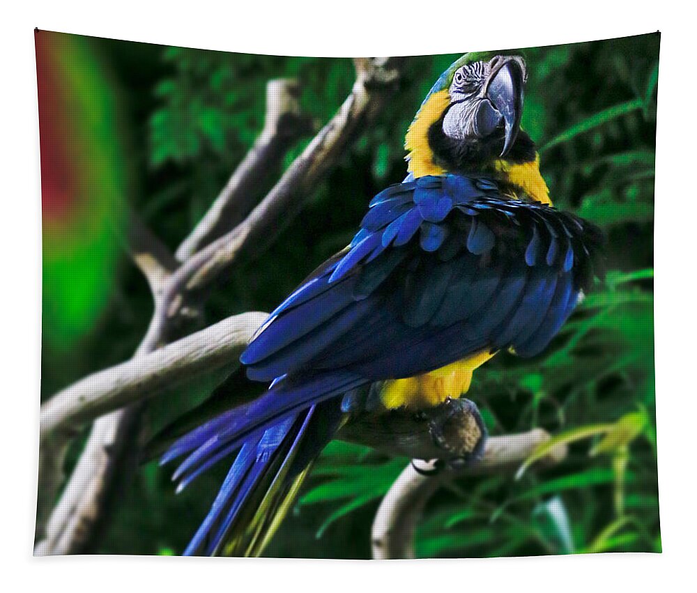 Parrot Tapestry featuring the photograph Bird 3 #1 by Carol Jorgensen
