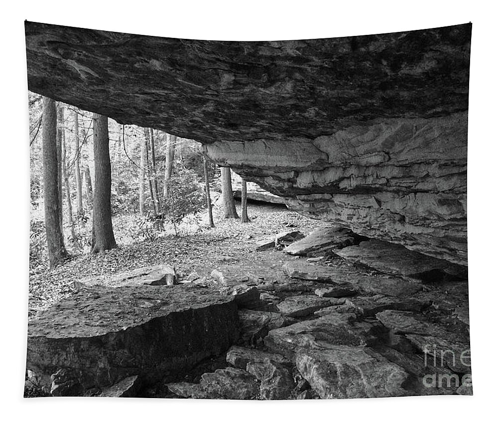 Tennessee Tapestry featuring the photograph Black And White Cave by Phil Perkins