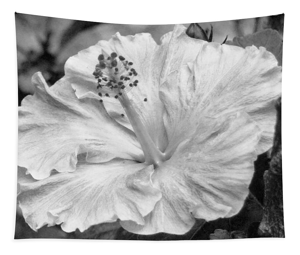 Flower Tapestry featuring the photograph Black and White Hibiscus 2 by Amy Fose