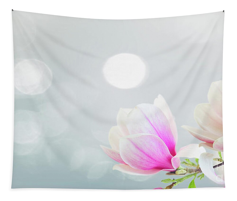 Magnolia Tapestry featuring the photograph Blossoming Pink Magnolia Flowers #1 by Anastasy Yarmolovich