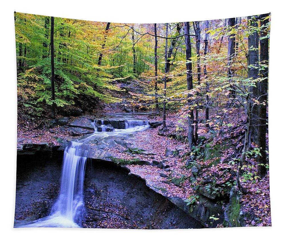  Tapestry featuring the photograph Blue Hen Falls by Brad Nellis