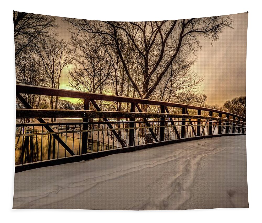 Snowy Tapestry featuring the photograph Bridge at Night in the Snow V2 DSC_0087 #2 by Michael Thomas