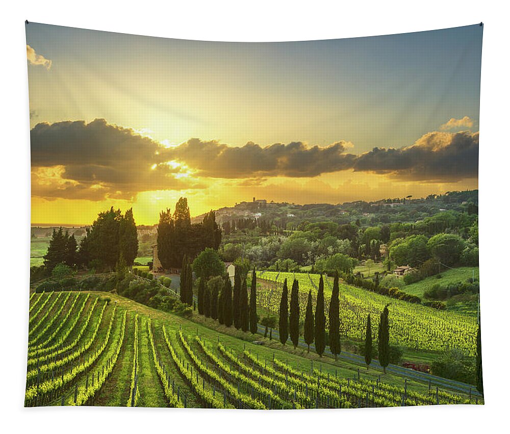 Casale Tapestry featuring the photograph Vineyards in Alta Maremma at Sunset by Stefano Orazzini