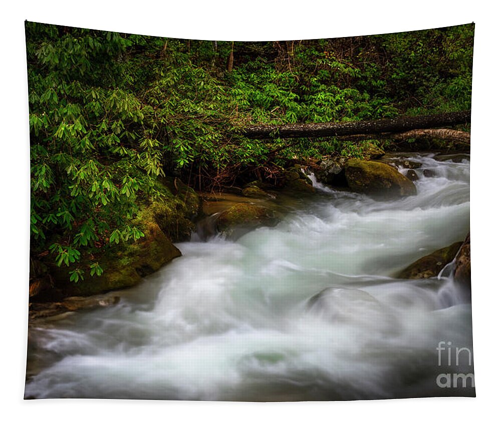 Cascade Tapestry featuring the photograph Secluded Cascade in the Blue Ridge Mountains by Shelia Hunt