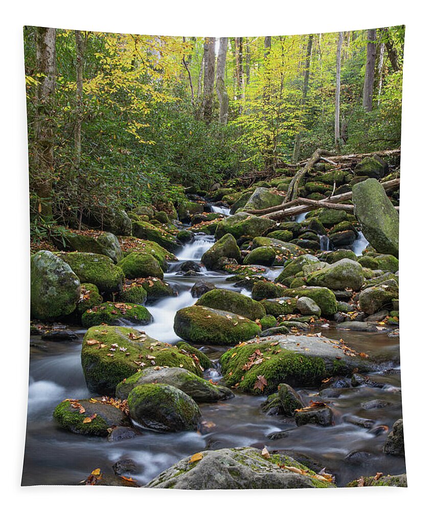 Art Prints Tapestry featuring the photograph Cascade 2 by Nunweiler Photography