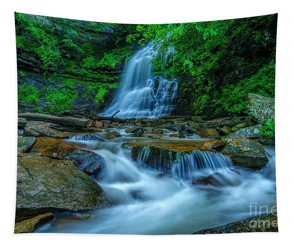 Cathedral Falls Tapestry featuring the photograph Cathedral Falls in Morning Shade #1 by Thomas R Fletcher
