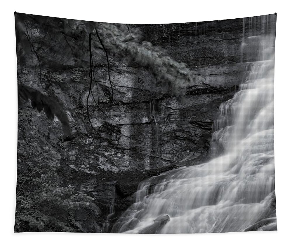  Tapestry featuring the photograph Chittenango Falls by Brad Nellis