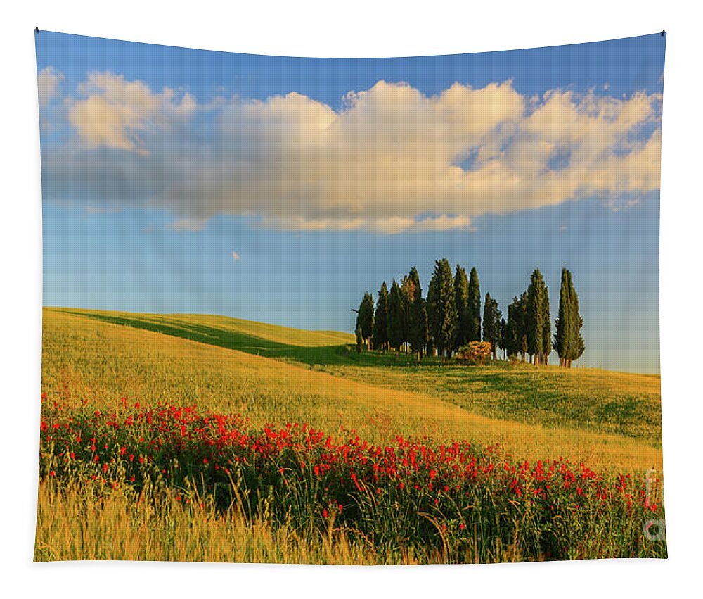Photography Tapestry featuring the photograph Circle of Cypress trees near Torrenieri #1 by Henk Meijer Photography