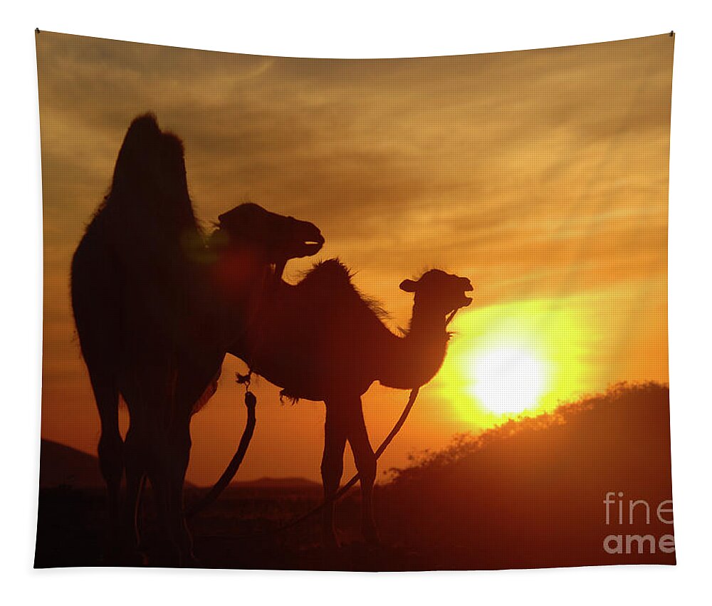 Colors Of Gobi Desert Tapestry featuring the photograph Colors of Gobi desert #1 by Elbegzaya Lkhagvasuren