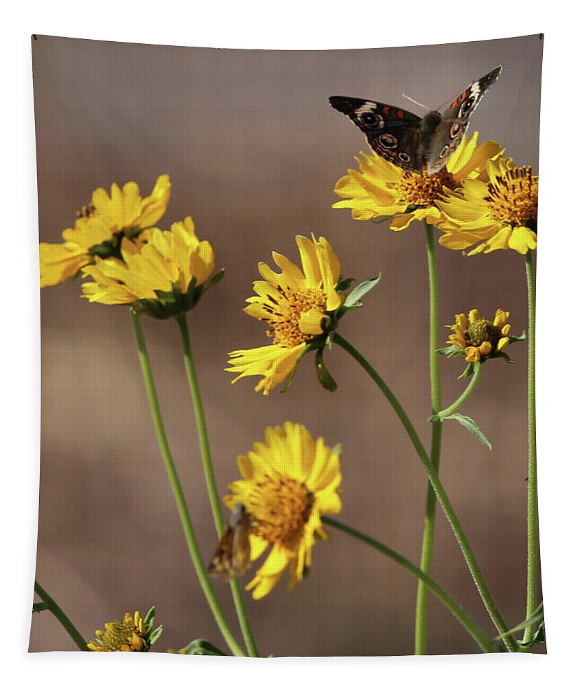 Butterfly Tapestry featuring the photograph Common Buckeye by Robert Harris