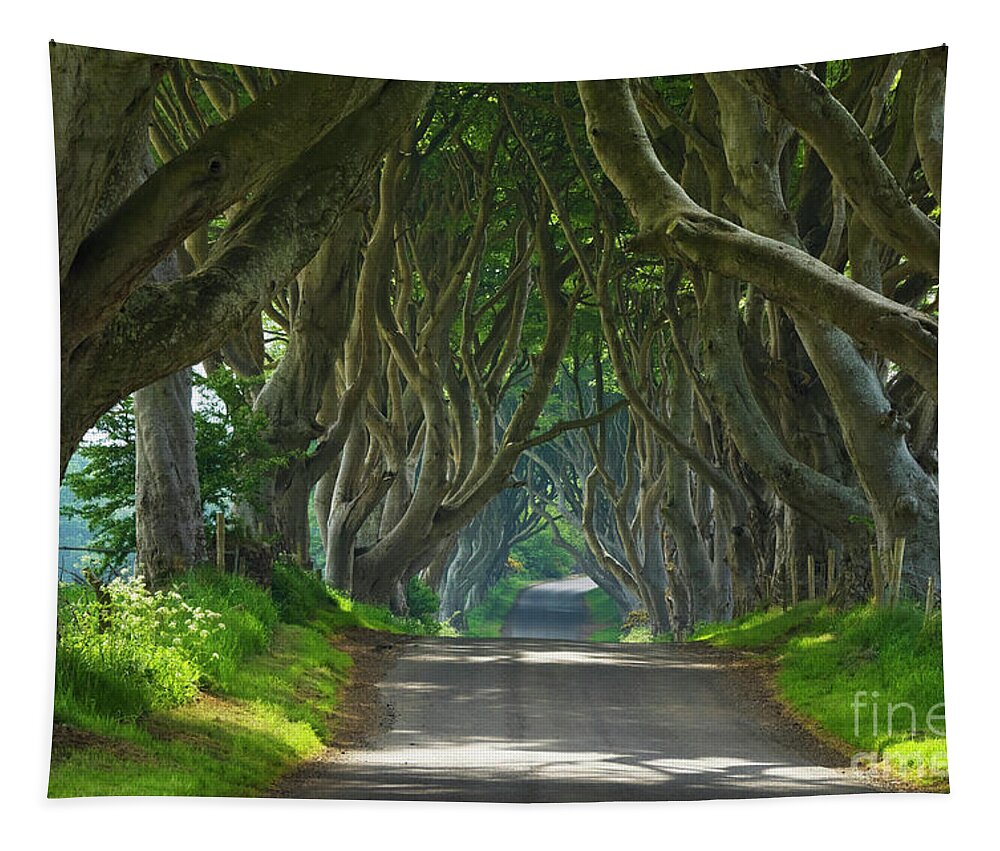 Dark Hedges Tapestry featuring the photograph Dark Hedges, County Antrim, Northern Ireland by Neale And Judith Clark