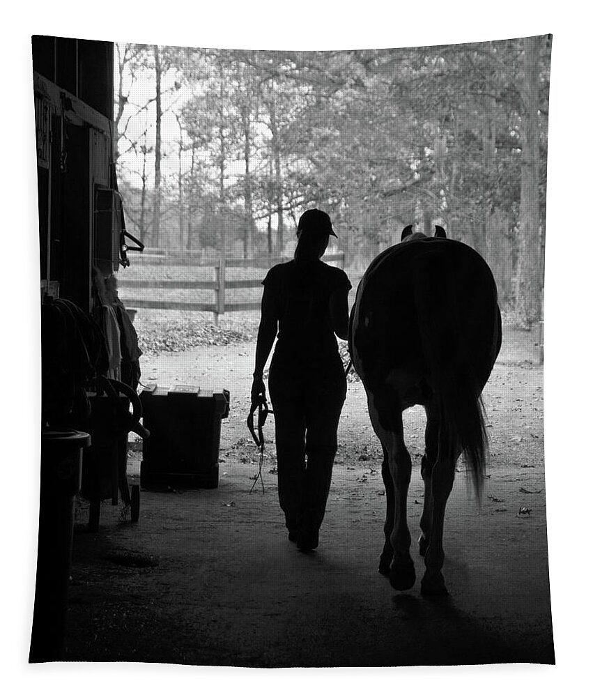 Horses Tapestry featuring the photograph Day's End by Minnie Gallman