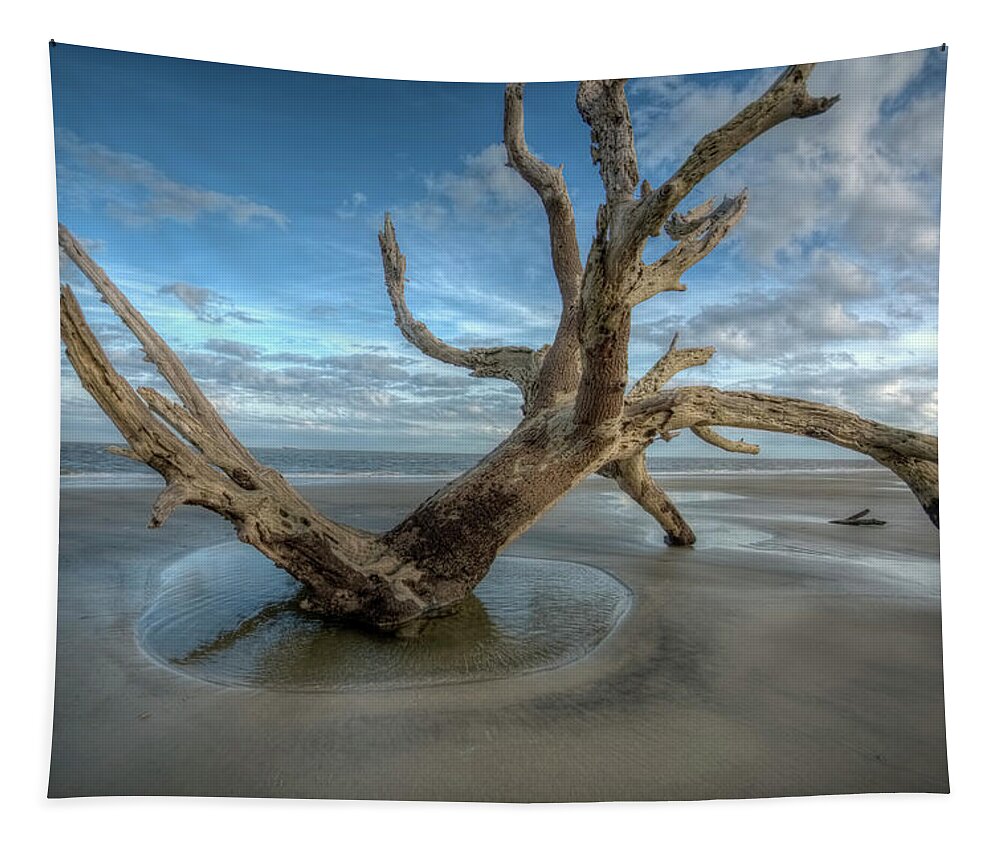 Beach Tapestry featuring the photograph Driftwood Beach #1 by Carolyn Hutchins