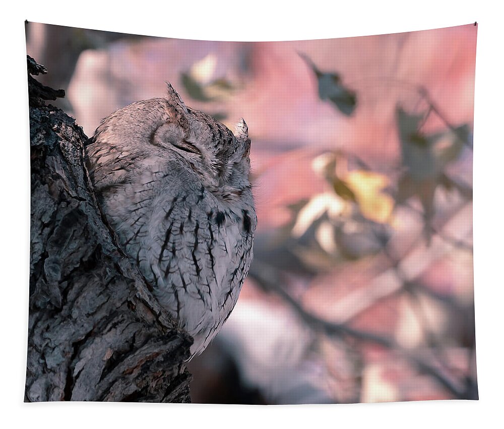 Owl Tapestry featuring the photograph Eastern Screech Owl in Fall #1 #1 by Mindy Musick King