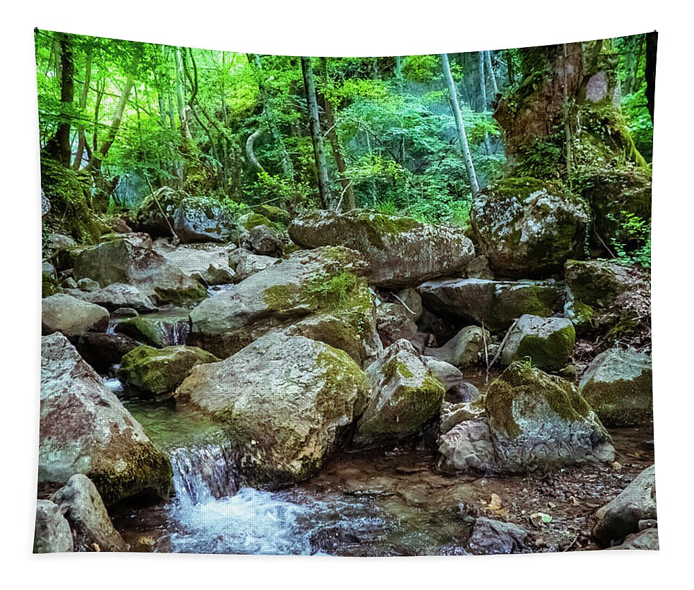 Fairy Place In The Woods Tapestry featuring the photograph Fairy place in the woods 2 by Lilia S
