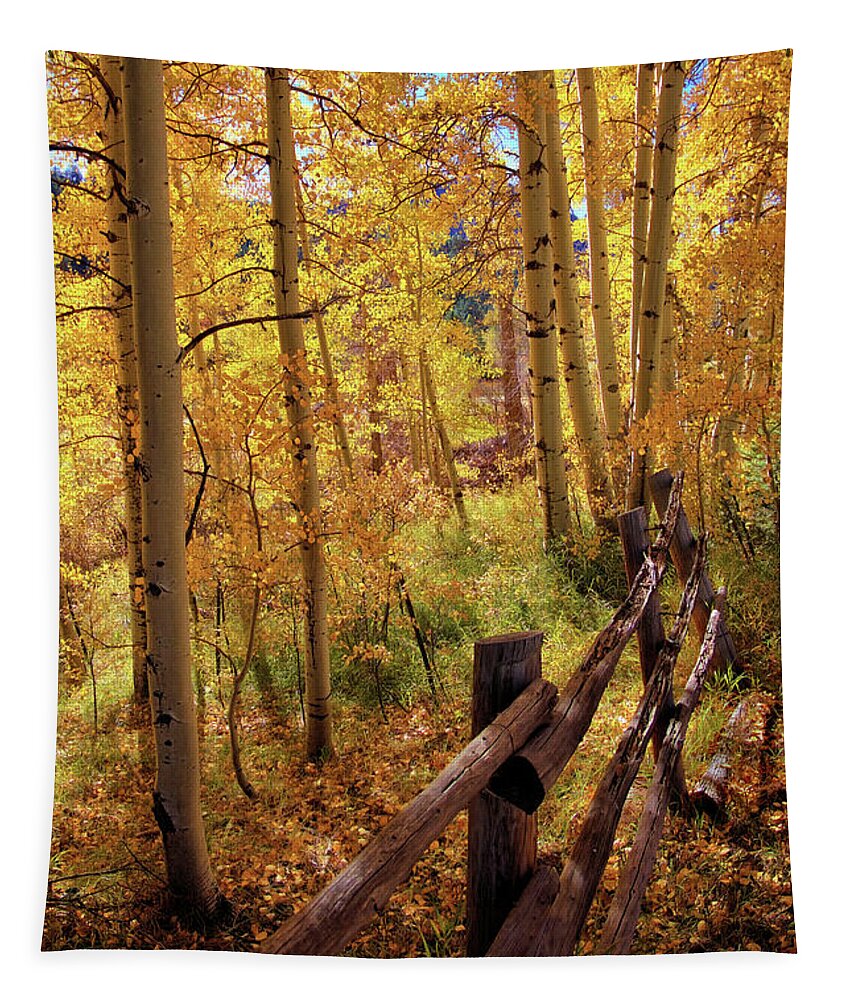Colorado Tapestry featuring the photograph Fall colors #1 by Bob Falcone
