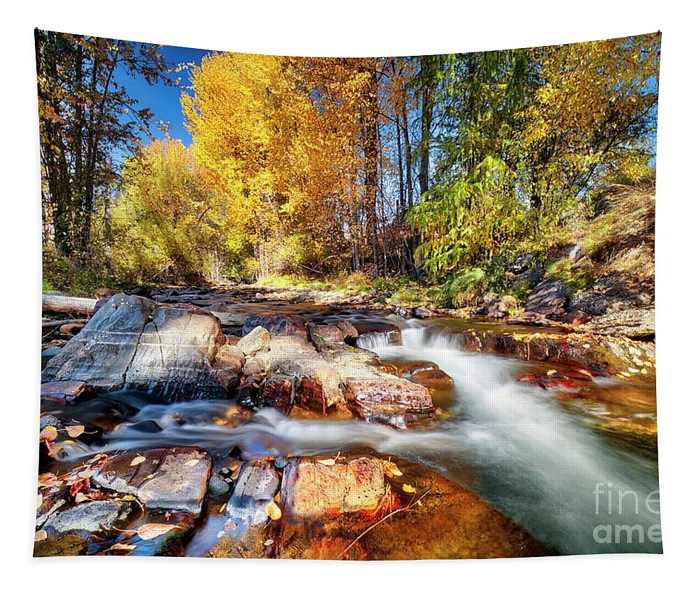 Creek Tapestry featuring the photograph Fall Colors #1 by Thomas Nay