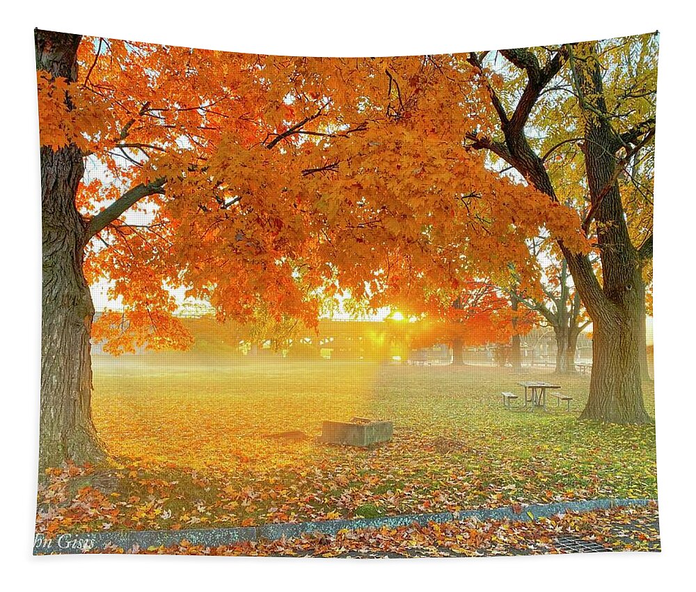  Tapestry featuring the photograph Fall #1 by John Gisis