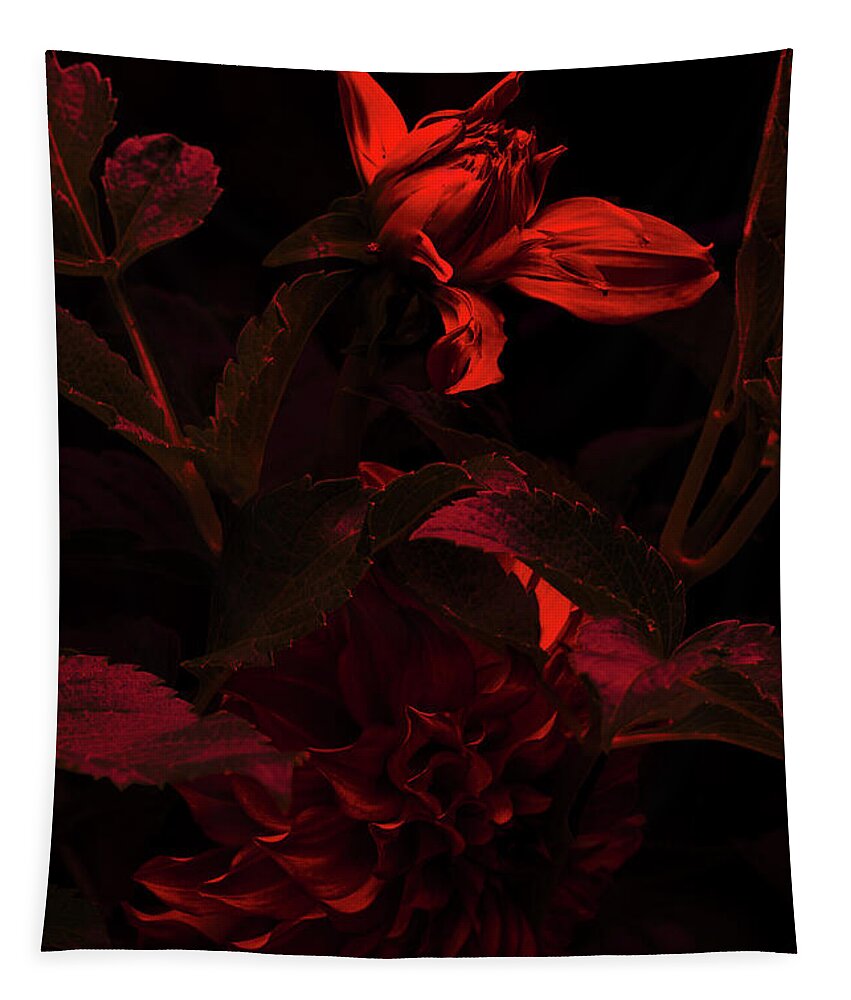Red Tapestry featuring the photograph Falling Slowly Into Red by Cynthia Dickinson